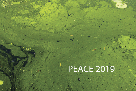 PEACE2019_Card-96