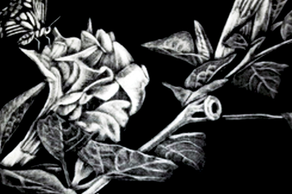 2019_PRINTS_forWeb-96